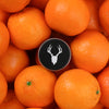 Tangerine Vanilla Tattoo Balm Salve